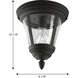 Westport 1 Light 9 inch Textured Black Outdoor Flush Mount in Bulbs Not Included, Clear Seeded