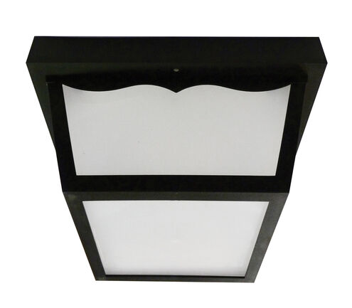 Montauk LED 10 inch Black Outdoor LED Flush