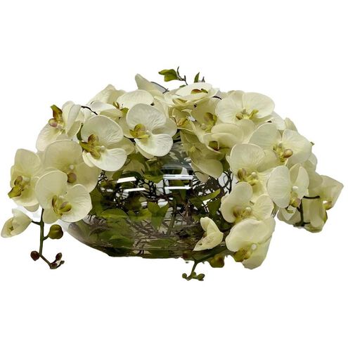 Enchanted Orchids Botanical/Floral