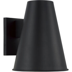 Yardley 1 Light 12 inch Black Outdoor Wall Lantern