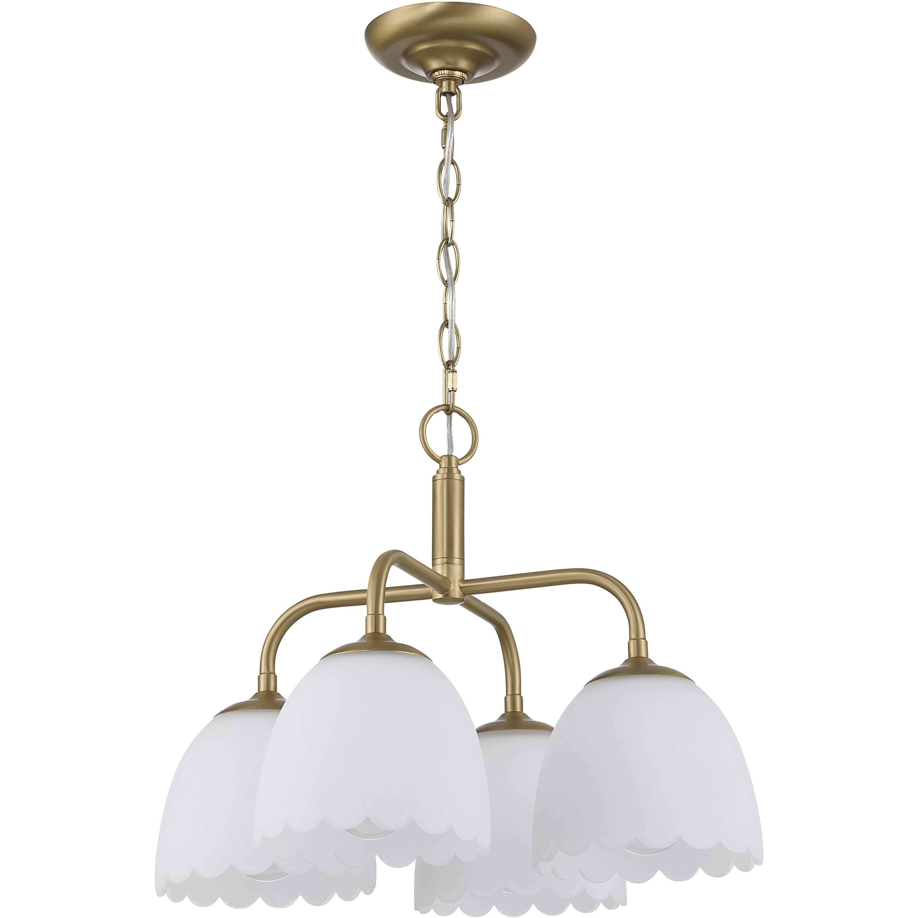 Dorinda 4 Light 18 inch Brushed Champagne Brass Pendant Ceiling Light