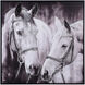 Horsing Around Black and White-Painted Wall Art