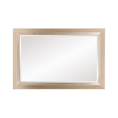 Avery 42 X 28 inch Champagne Silver Wall Mirror