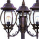 Chateau 3 Light 85 inch Burled Walnut Exterior Post Mount