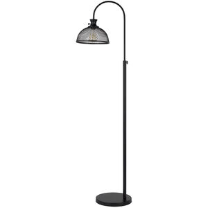Lewiston 48 inch 60.00 watt Black Floor Lamp Portable Light
