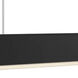 Beam 1 Light 2 inch Black Pendant Ceiling Light