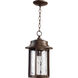 Charter 1 Light 10 inch Oiled Bronze Outdoor Hanging Lantern
