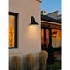 Elian 1 Light 13.5 inch Black Outdoor Wall Sconce