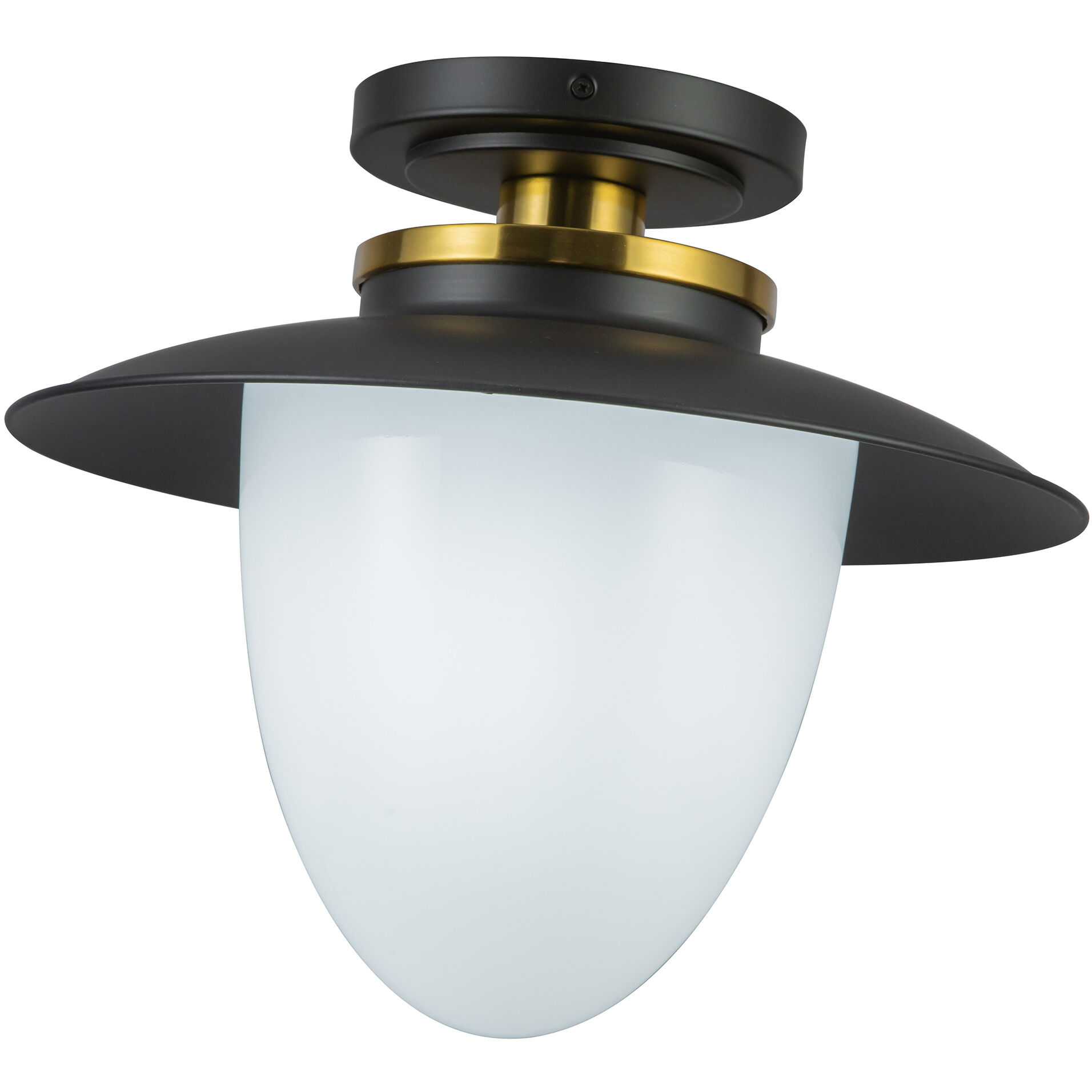 Dahlia 1 Light 15 inch Black and Brass Pendant Ceiling Light