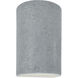 Ambiance LED 9.5 inch Concrete Outdoor Wall Sconce in 1000 Lm LED