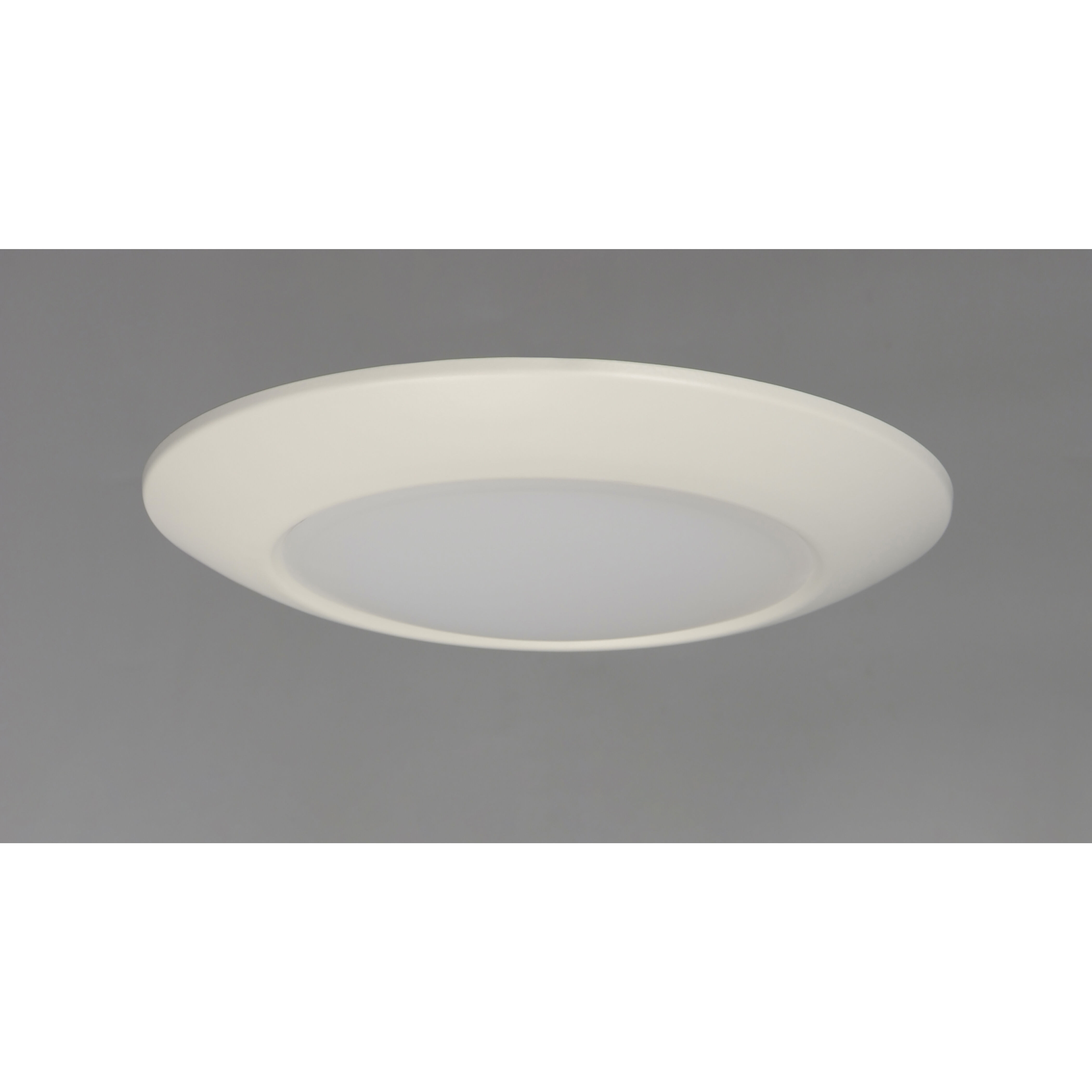 Diverse LED LED 9 inch White Flush Mount Ceiling Light