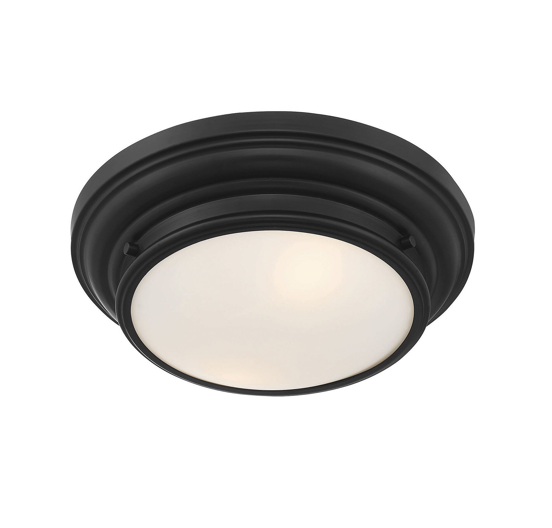 Transitional 2 Light 13 inch Matte Black Flush Mount Ceiling Light