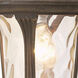 Oxford 1 Light 9.5 inch Hand Applied Imperial Bronze Medium Outdoor Pendant Lantern