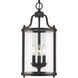 Payton 3 Light 9 inch Matte Black Pendant Ceiling Light, Caged