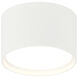 Caravon 1 Light 5.50 inch Flush Mount