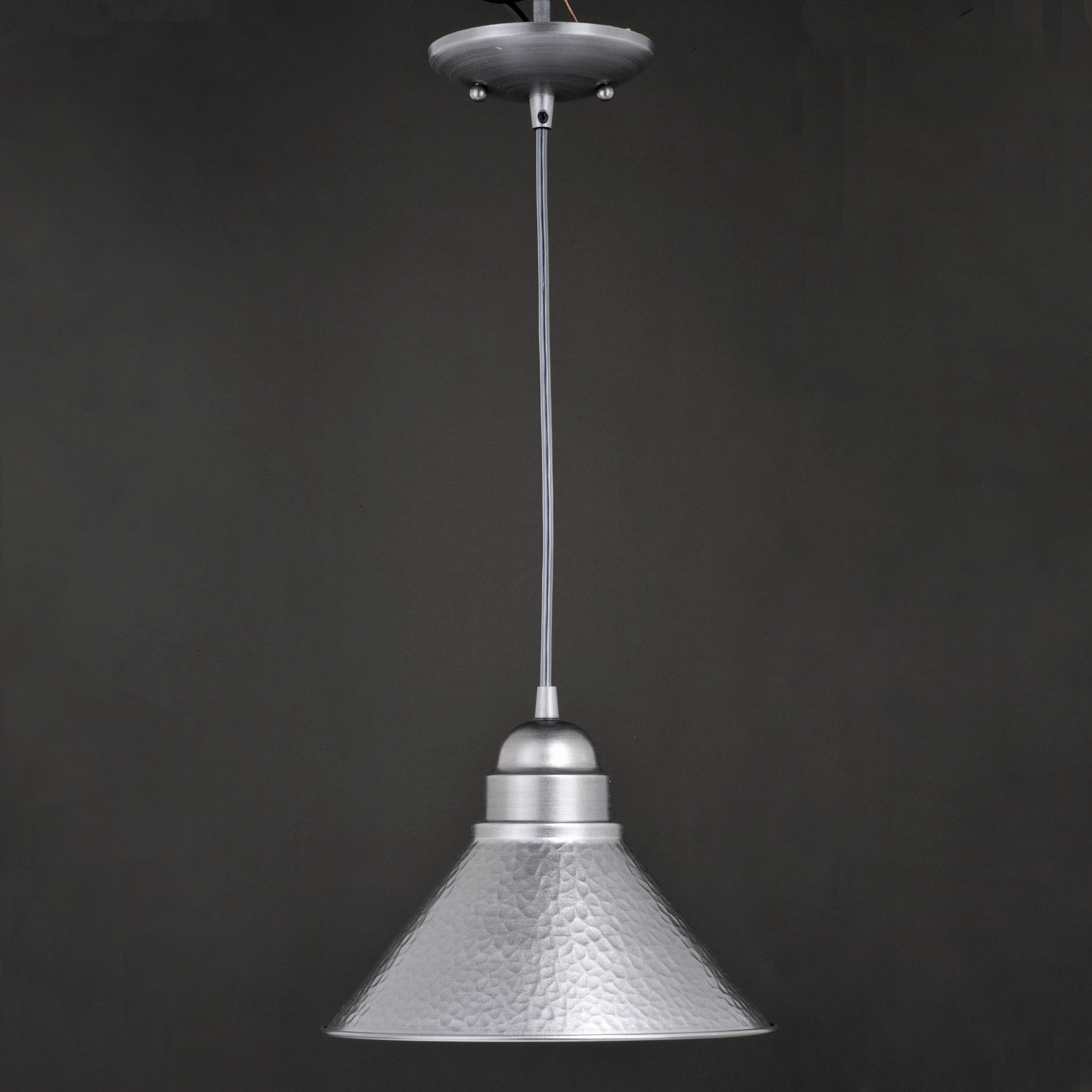 Outland LED 10 inch Brushed Pewter Outdoor Pendant