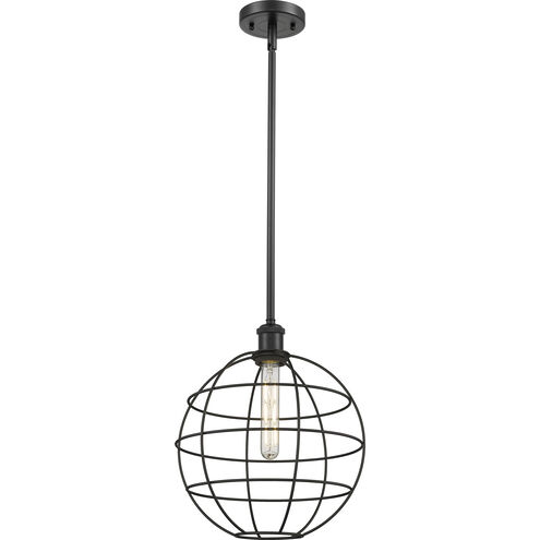 Lake Placid 1 Light 12 inch Matte Black Pendant Ceiling Light