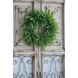 Hector 17.5 X 12 inch Statuette