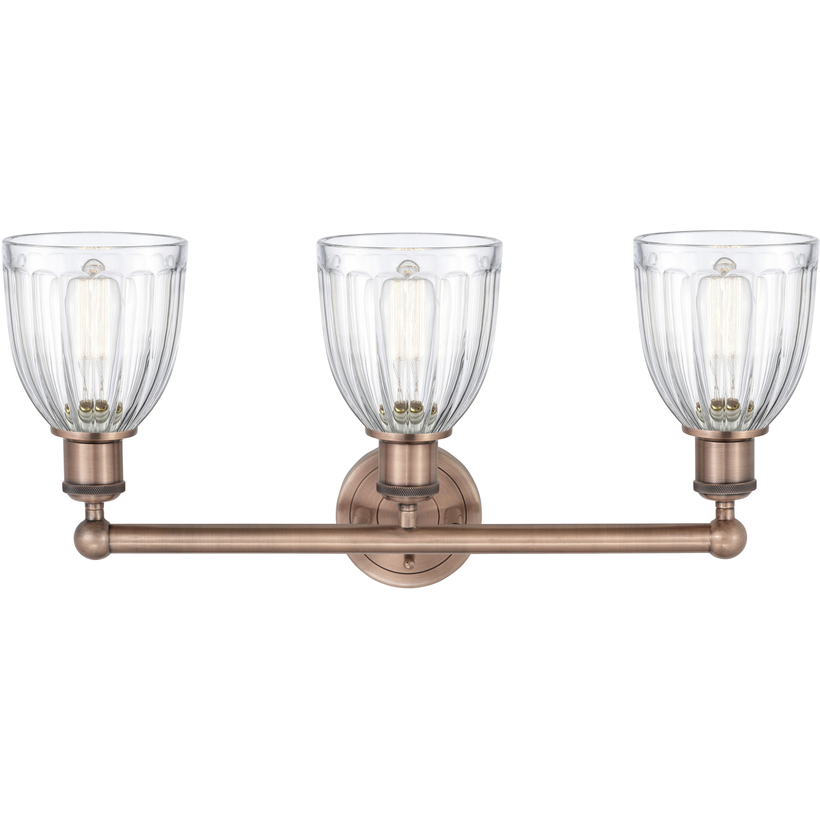 Brookfield 3 Light 23.75 inch Antique Copper Bath Vanity Light Wall Light in Clear