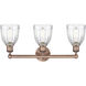 Brookfield 3 Light 23.75 inch Antique Copper Bath Vanity Light Wall Light in Clear