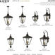 Adams 4 Light 14.25 inch Bronze with Antique Brass Finish Cluster Outdoor Extra Large Pendant Lantern Ceiling Light in Bronze with Antique Brass Accent