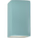 Ambiance Collection LED 13.5 inch Reflecting Pool Outdoor Wall Sconce