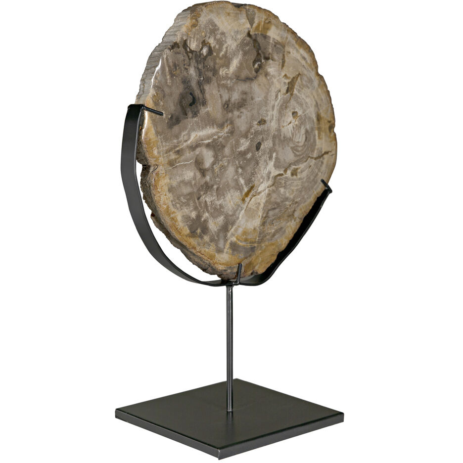 Wood Fossil Matte Black Decorative Object