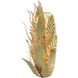 Apollo Wall Sconces Wall Light
