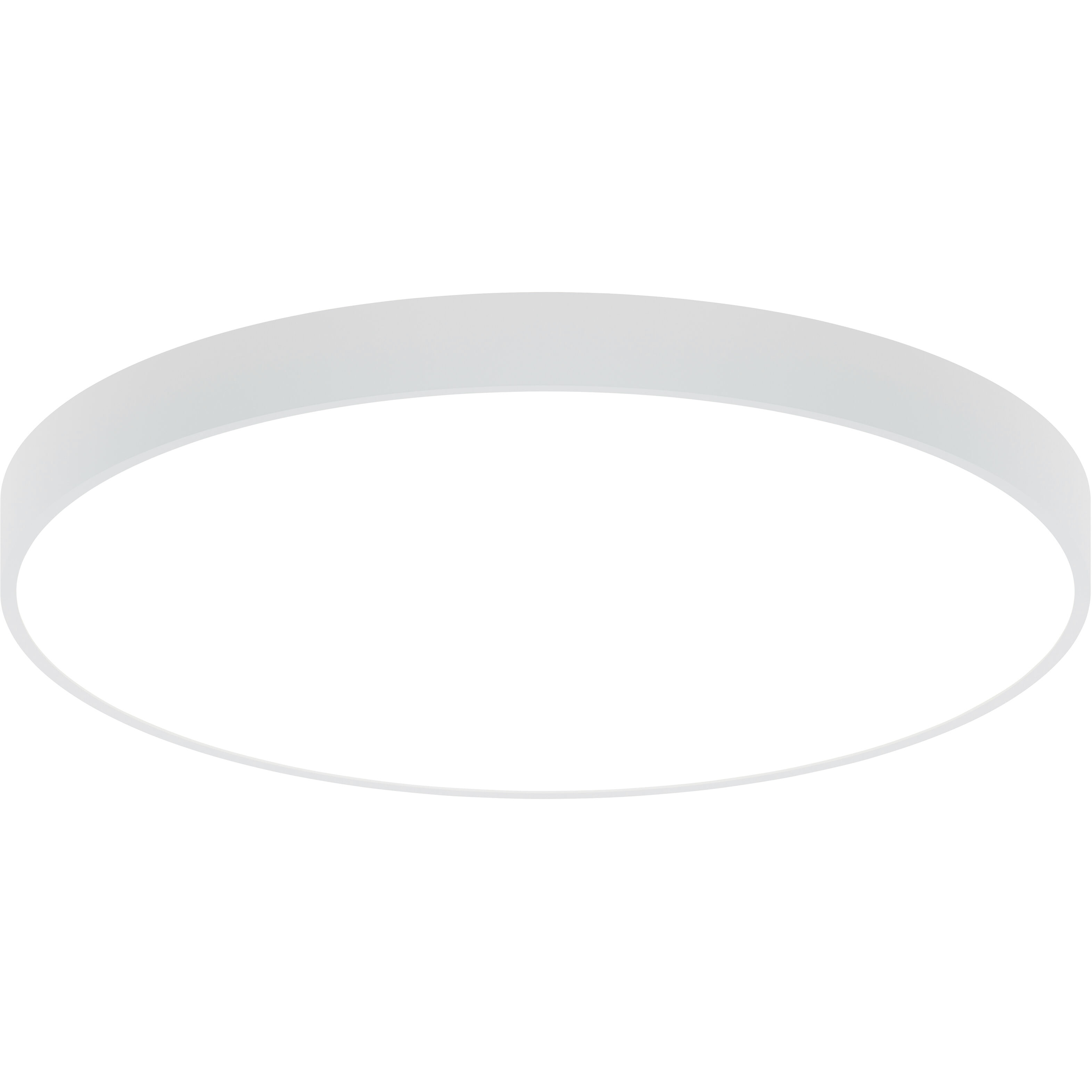 Jazz 2 Light 24.00 inch Flush Mount