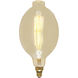 Lumos Incandescent BT56 Medium E26 60 watt 120V 2200K Light Bulb