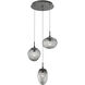 Cosmos LED LED 22.3 inch Graphite Chandelier Ceiling Light, Round Multi-Port