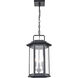 Ellis 3 Light 11 inch Powder Coated Black Outdoor Hanging Lantern