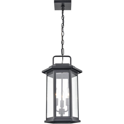 Ellis 3 Light 11 inch Powder Coated Black Outdoor Hanging Lantern