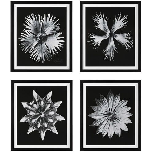 Contemporary Floret 28 X 24 inch Framed Prints, Set of 4