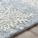 Starlit 72 X 48 inch Pale Blue Rug in 4 X 6, Rectangle