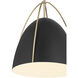 Pomelle 1 Light 13.75 inch Matte Black and Modern Gold Pendant Ceiling Light in Matte Black/Modern Gold