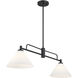 Transitional 2 Light 10 inch Matte Black Chandelier Ceiling Light