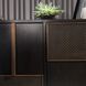 Demi 74 X 20.5 inch Ebony and Antique Brass Credenza