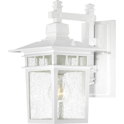 Cove Neck 1 Light 12 inch White Outdoor Wall Lantern