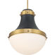 Purelight 1 Light 16.25 inch Legacy Brass and Dark Matte Black Pendant Ceiling Light