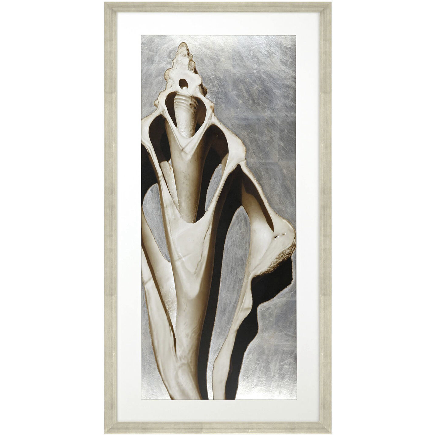 Modern Shell Sepia and Metallic and Neutral Framed Art, The Studio