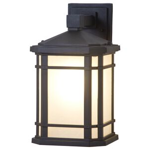 Cardiff Outdoor 1 Light 12.5 inch Black Outdoor Sconce