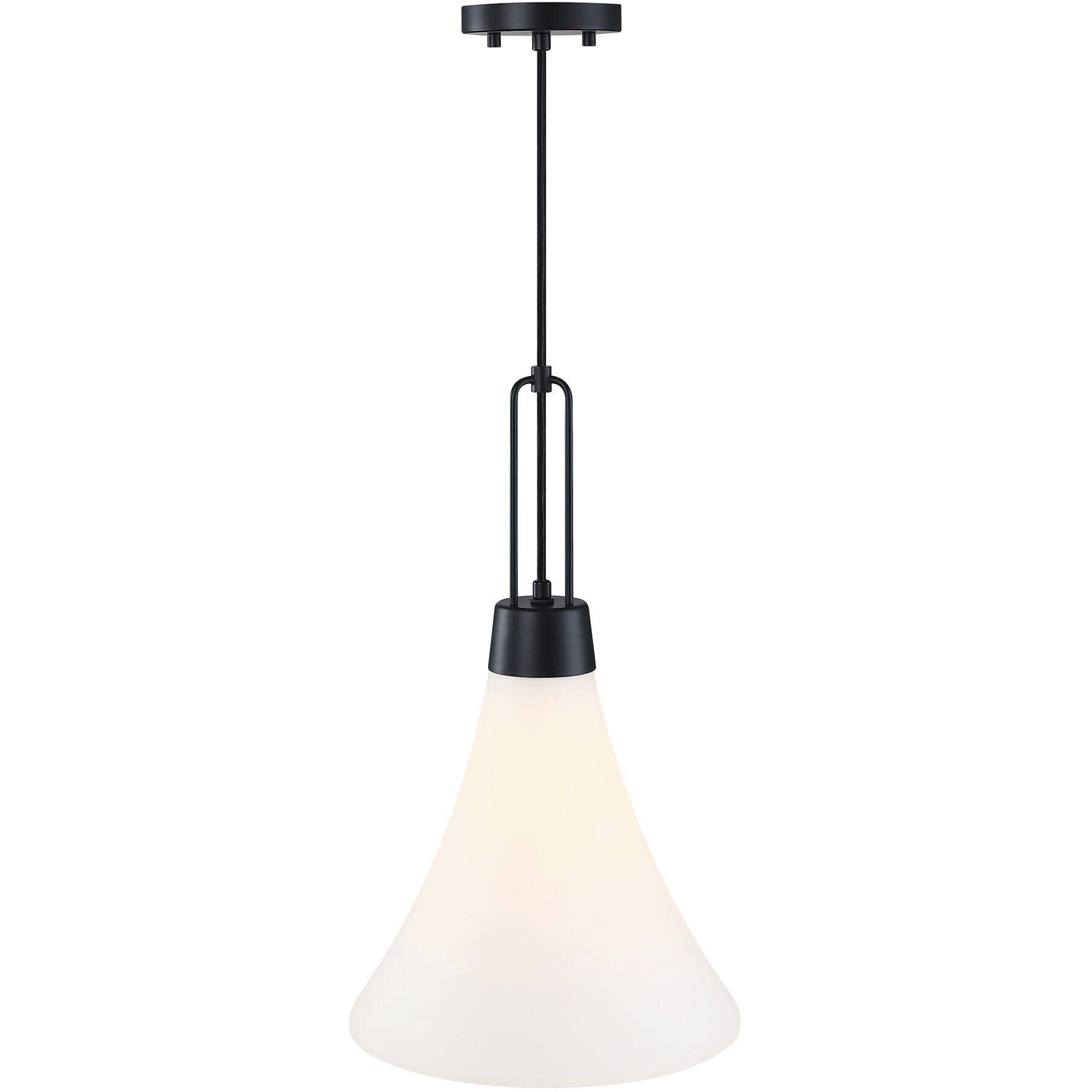 Evergreen Oasis LED 12 inch Matte Black Down Pendant Ceiling Light