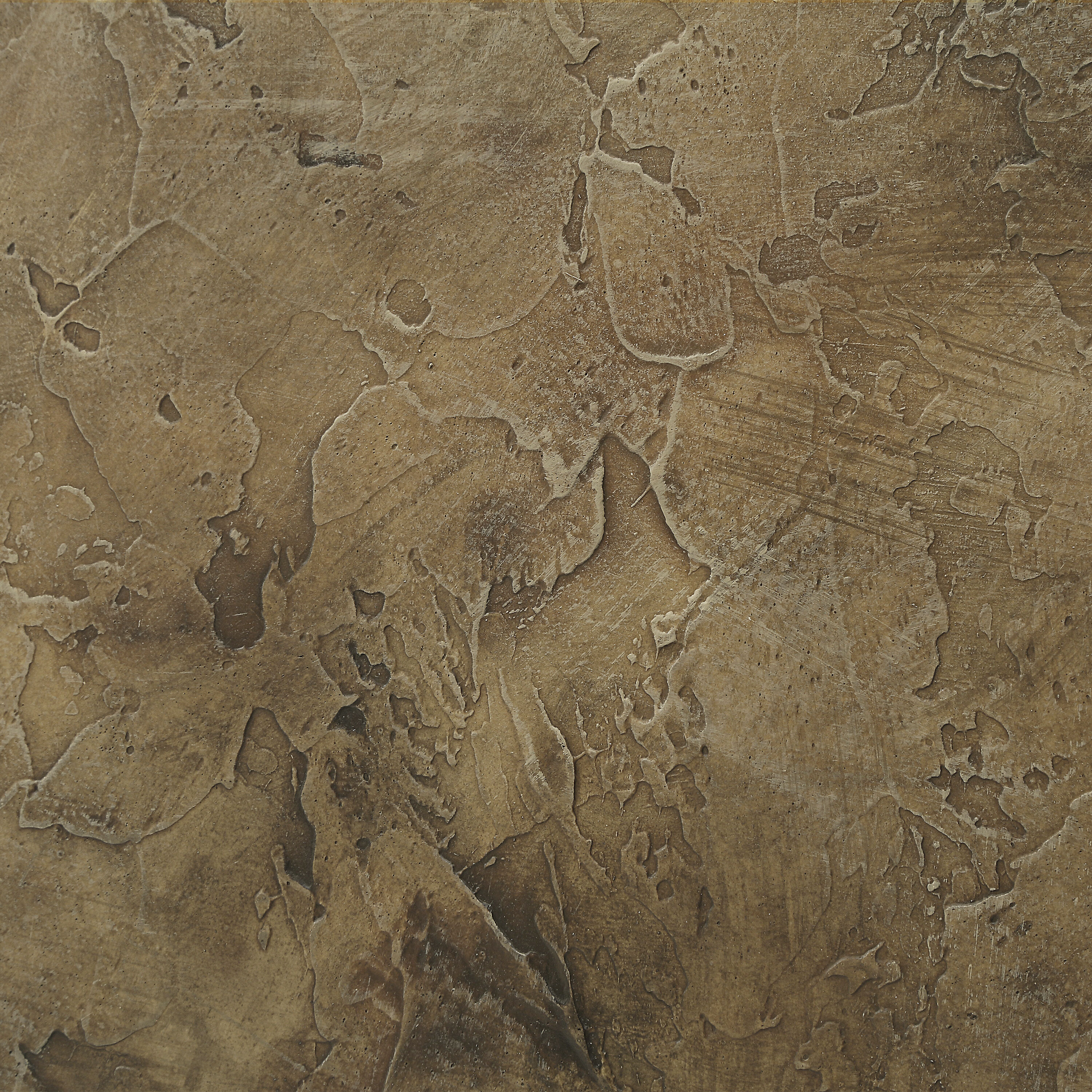 Acacia Multicolor and Charcoal Canvas Art