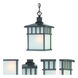 Barton 1 Light 7 inch Olde World Iron Exterior Hanging Lantern in White Linen