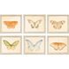 Animals Collection Multi Framed Art