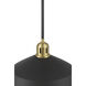 Axlen 1 Light 12 inch Matte Black and Vintage Brass Pendant Ceiling Light