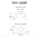 Taylor 2 Light 120 Satin Chrome Track Light Ceiling Light, Fixed Arm