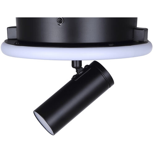 Denver Black Track Lighting Ceiling Light