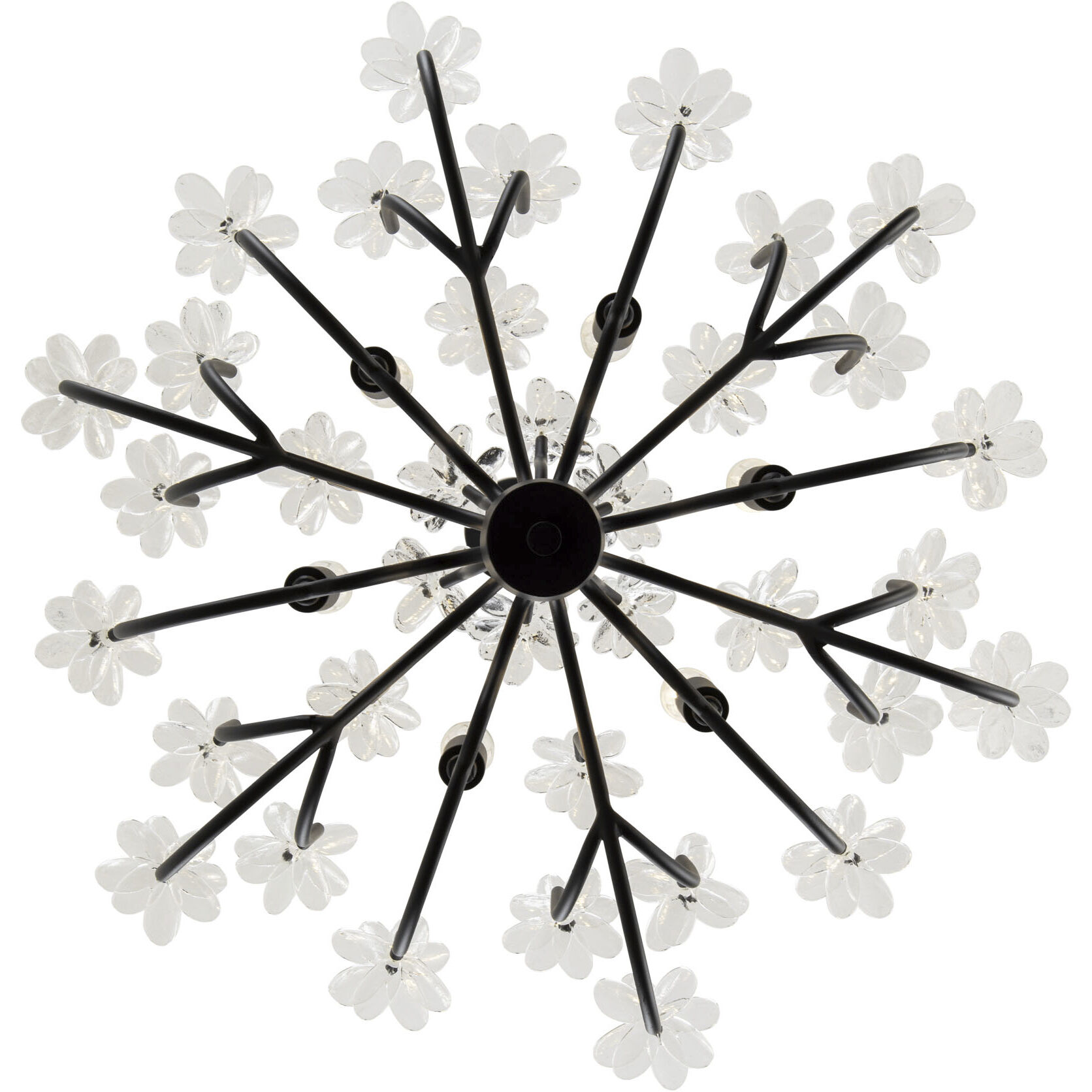 Wildflower 6 Light 26 inch Matte Black Chandelier Ceiling Light, Smithsonian Collaboration